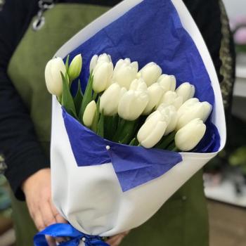 Белые тюльпаны 23 шт. [артикул букета  326106]