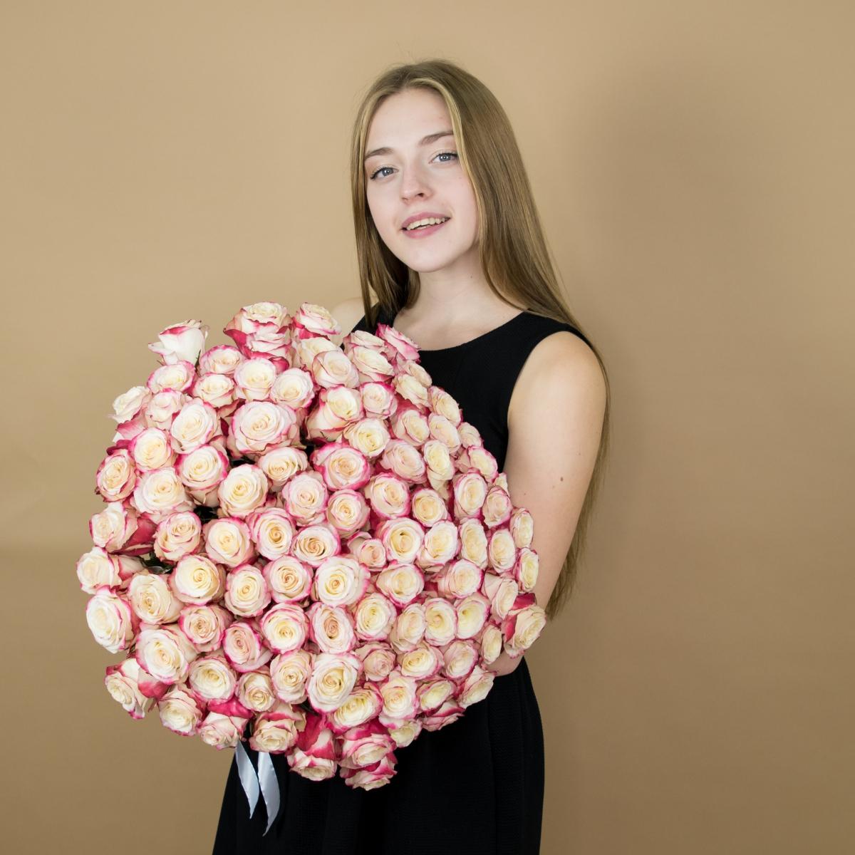 Розы красно-белые (40 см) Эквадор (артикул  486)