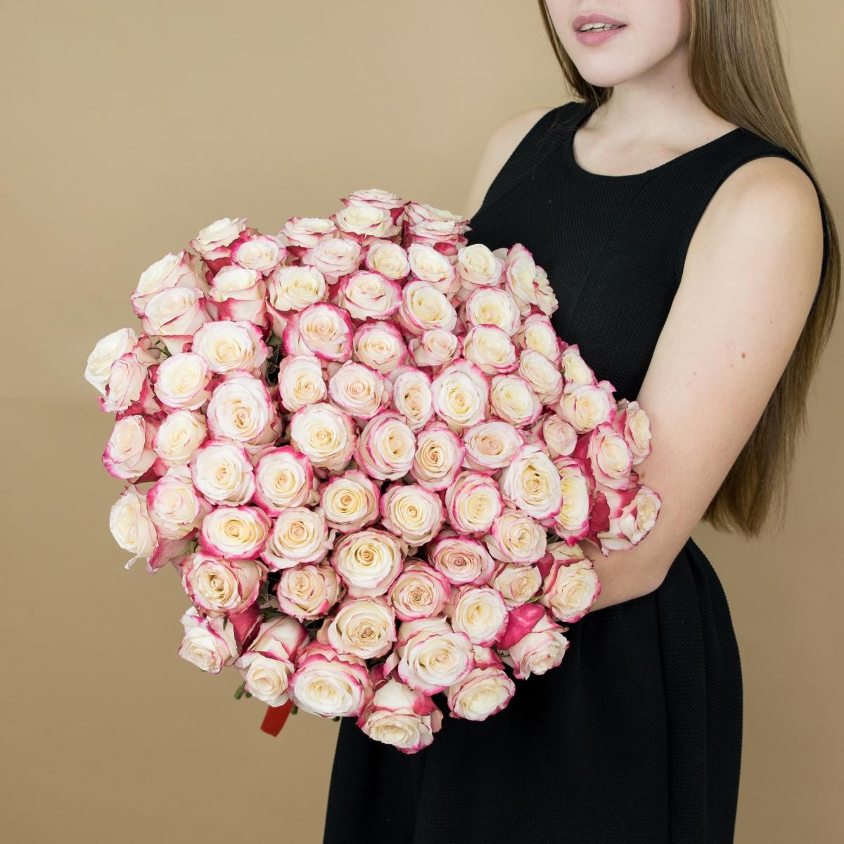 Розы красно-белые 101 шт. (40 см) Артикул: 86508