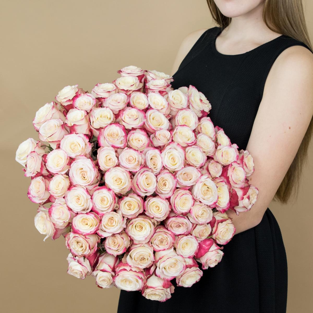 Розы красно-белые 101 шт. (40 см) Артикул: 86508