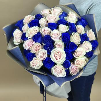 Белая и Синяя Роза 51шт 70см (Эквадор) [articul  111132]