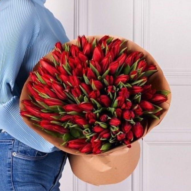 Красные тюльпаны 101 шт код товара  140778